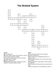 The Skeletal System crossword puzzle