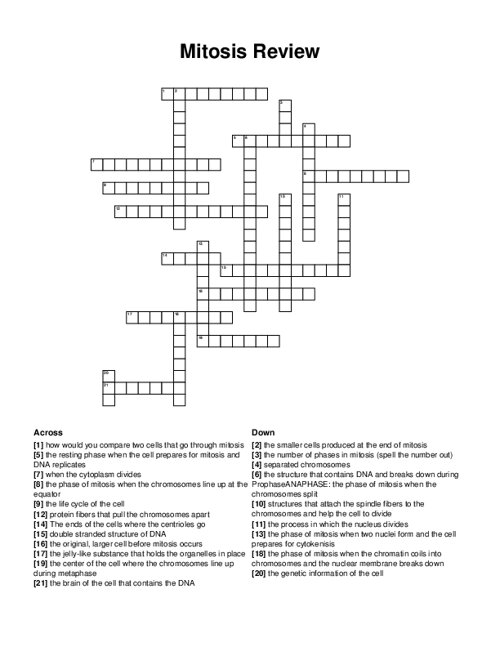 Mitosis Review Crossword Puzzle
