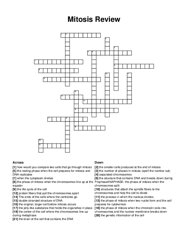 Mitosis Review crossword puzzle