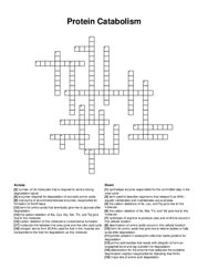 Protein Catabolism crossword puzzle