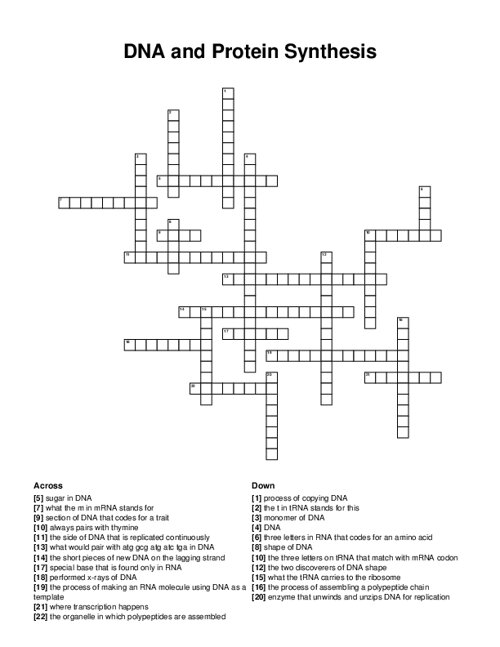 DNA and Protein Synthesis Crossword Puzzle