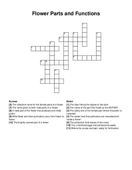 Flower Parts and Functions Crossword Puzzle