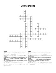 Cell Signaling crossword puzzle