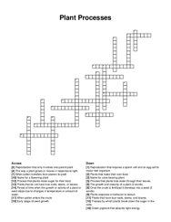 Plant Processes crossword puzzle