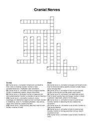 Cranial Nerves crossword puzzle