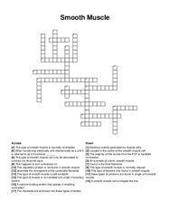 Smooth Muscle crossword puzzle