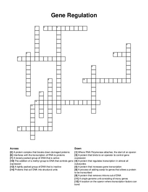 Gene Regulation Crossword Puzzle