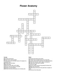Flower Anatomy crossword puzzle