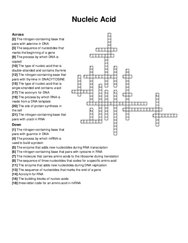 Nucleic Acid crossword puzzle