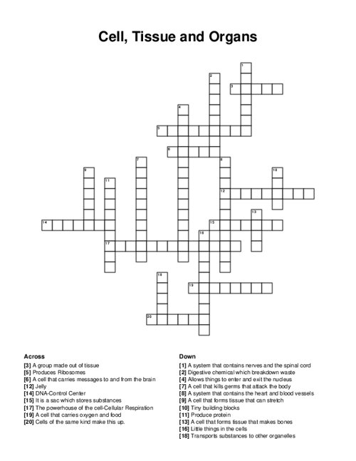 Cell, Tissue and Organs Crossword Puzzle