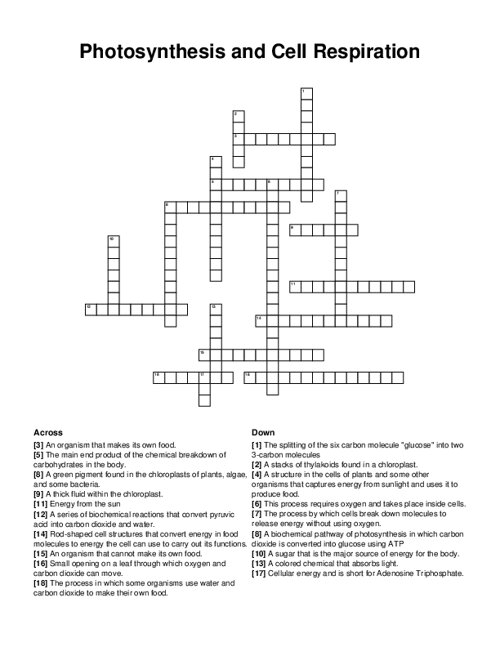Photosynthesis and Cell Respiration Crossword Puzzle