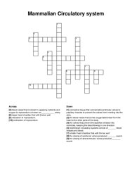 Mammalian Circulatory system crossword puzzle
