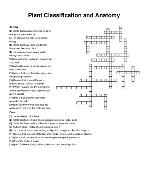 Plant Classification and Anatomy Crossword Puzzle