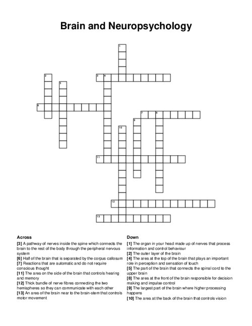 Brain and Neuropsychology Crossword Puzzle