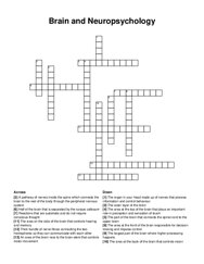 Brain and Neuropsychology crossword puzzle