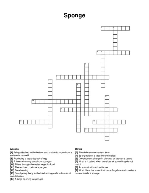 Sponge Crossword Puzzle