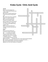 Krebs Cycle / Citric Acid Cycle crossword puzzle