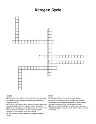 Nitrogen Cycle crossword puzzle