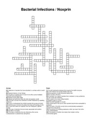 Bacterial Infections / Noxprin crossword puzzle
