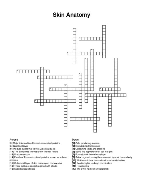 Skin Anatomy Crossword Puzzle