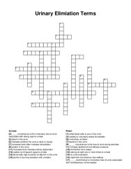 Urinary Elimiation Terms crossword puzzle
