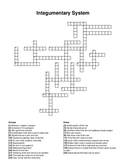 Integumentary System Crossword Puzzle