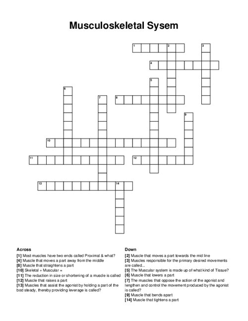 Musculoskeletal Sysem Crossword Puzzle