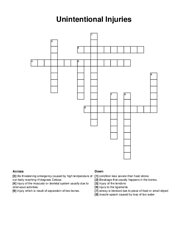 Unintentional Injuries crossword puzzle