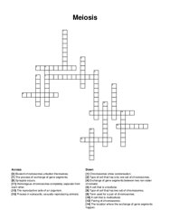 Meiosis crossword puzzle