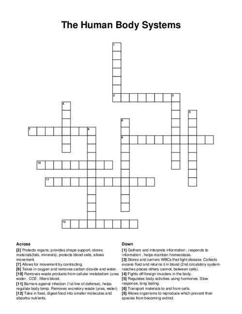 The Human Body Systems Crossword Puzzle