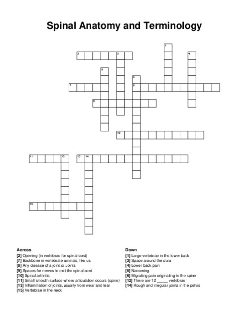 Spinal Anatomy and Terminology Crossword Puzzle