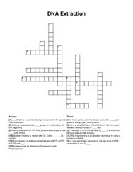 DNA Extraction crossword puzzle