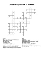 Plants Adaptations in a Desert crossword puzzle