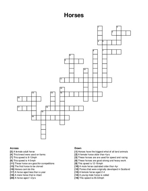 Horses Crossword Puzzle