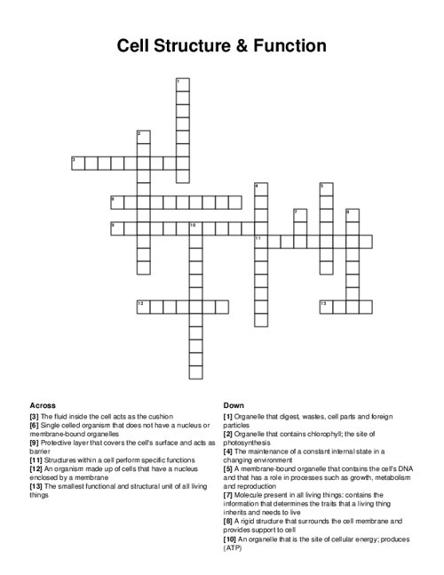 Cell Structure & Function Crossword Puzzle