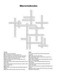 Macromolecules crossword puzzle