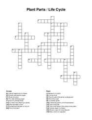 Plant Parts / Life Cycle crossword puzzle