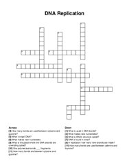 DNA Replication crossword puzzle