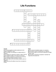 Life Functions crossword puzzle