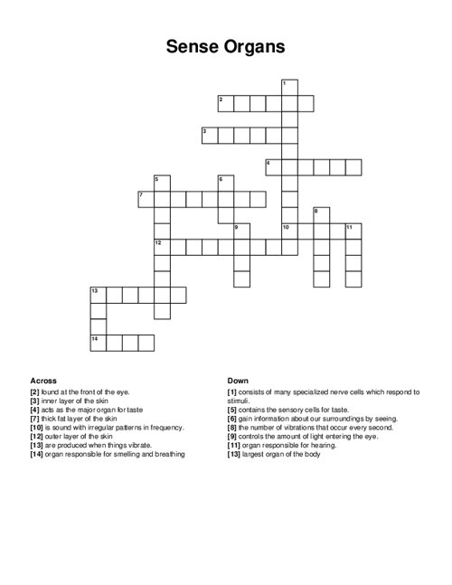 Sense Organs Crossword Puzzle