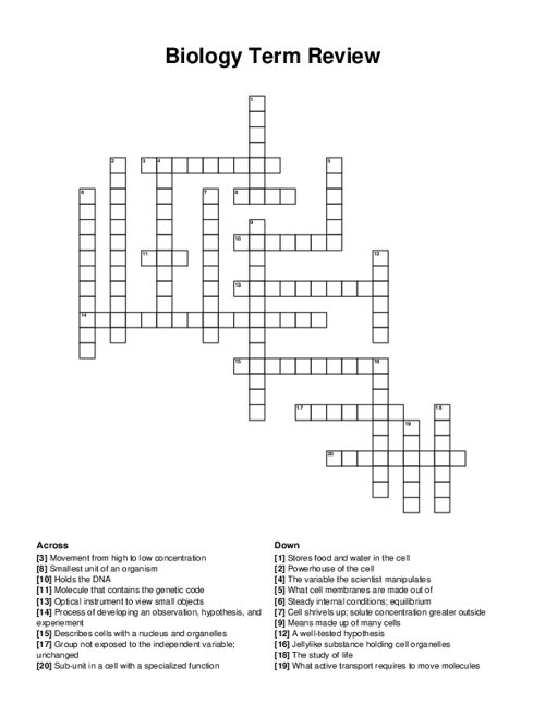 Biology Term Review Crossword Puzzle