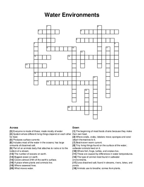 Water Environments Crossword Puzzle