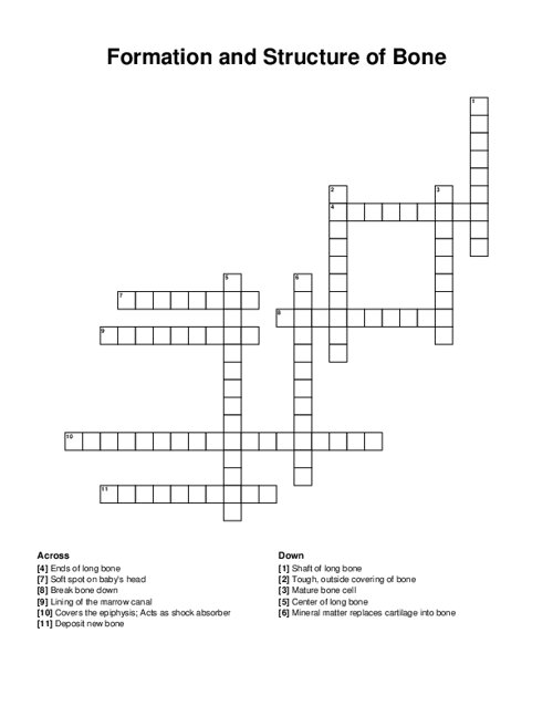 Formation and Structure of Bone Crossword Puzzle