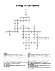 Energy in Ecosystems crossword puzzle