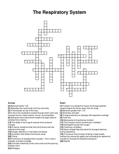 The Respiratory System Crossword Puzzle