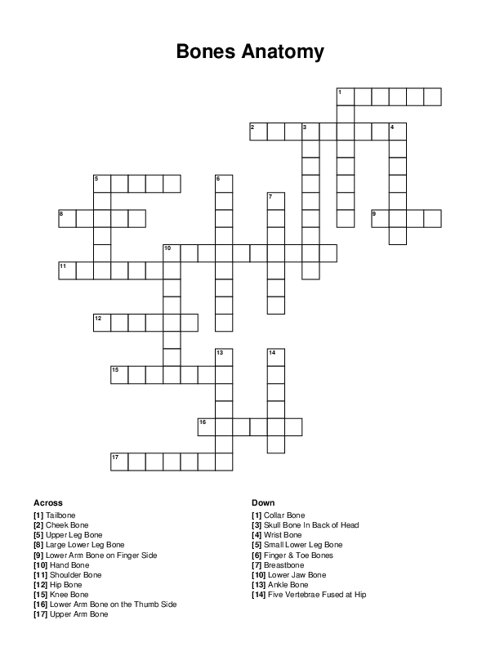 Bones Anatomy Crossword Puzzle