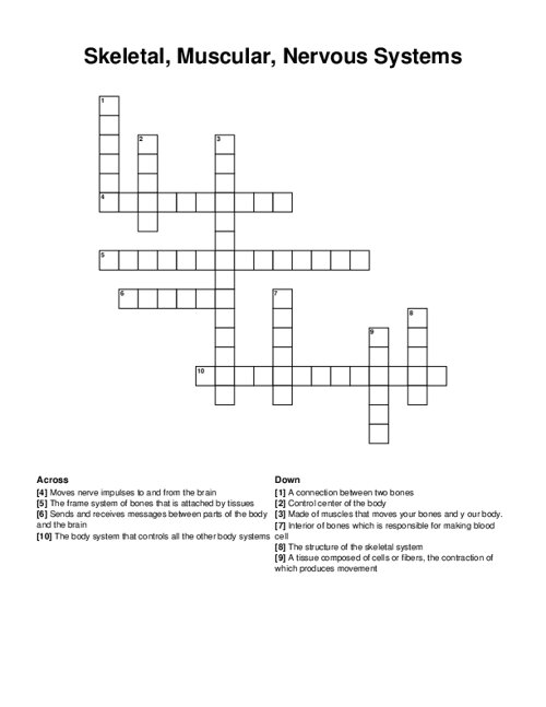 Skeletal, Muscular, Nervous Systems Crossword Puzzle