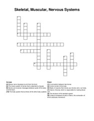 Skeletal, Muscular, Nervous Systems crossword puzzle