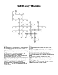 Cell Biology Revision crossword puzzle