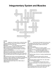 Integumentary System and Muscles crossword puzzle
